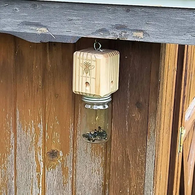 Best Carpenter Bee Trap