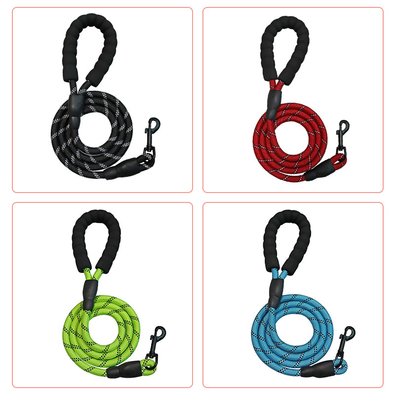 3 in 1 Walk Kit for Pet