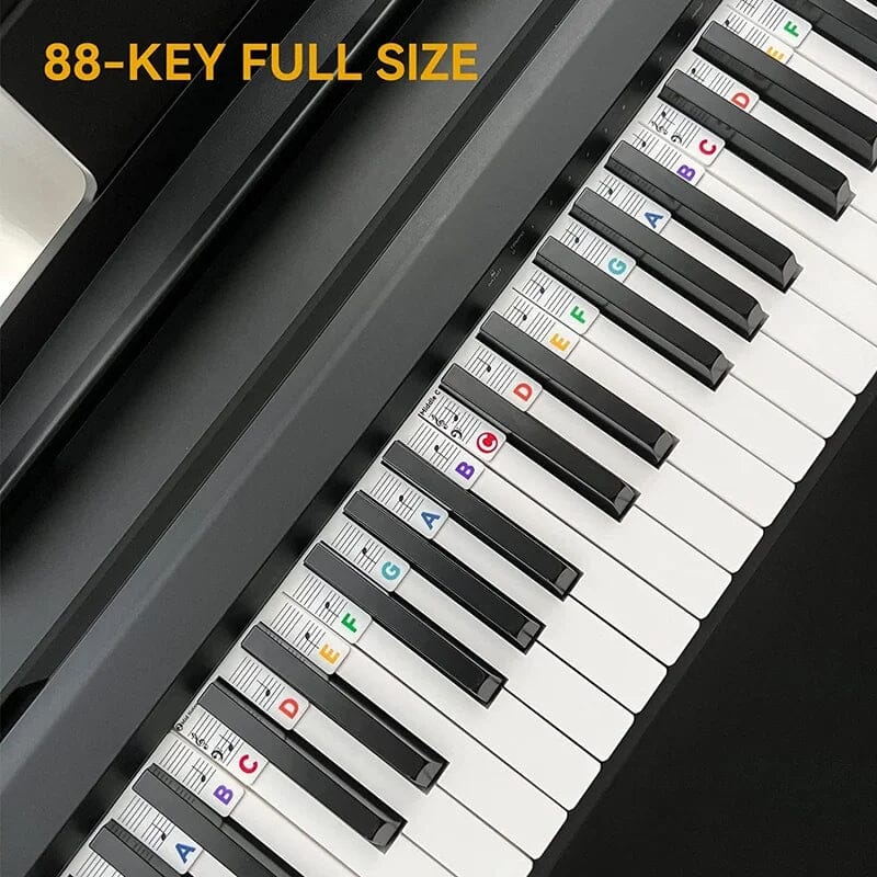 🎁Removable Piano Keyboard Note Labels