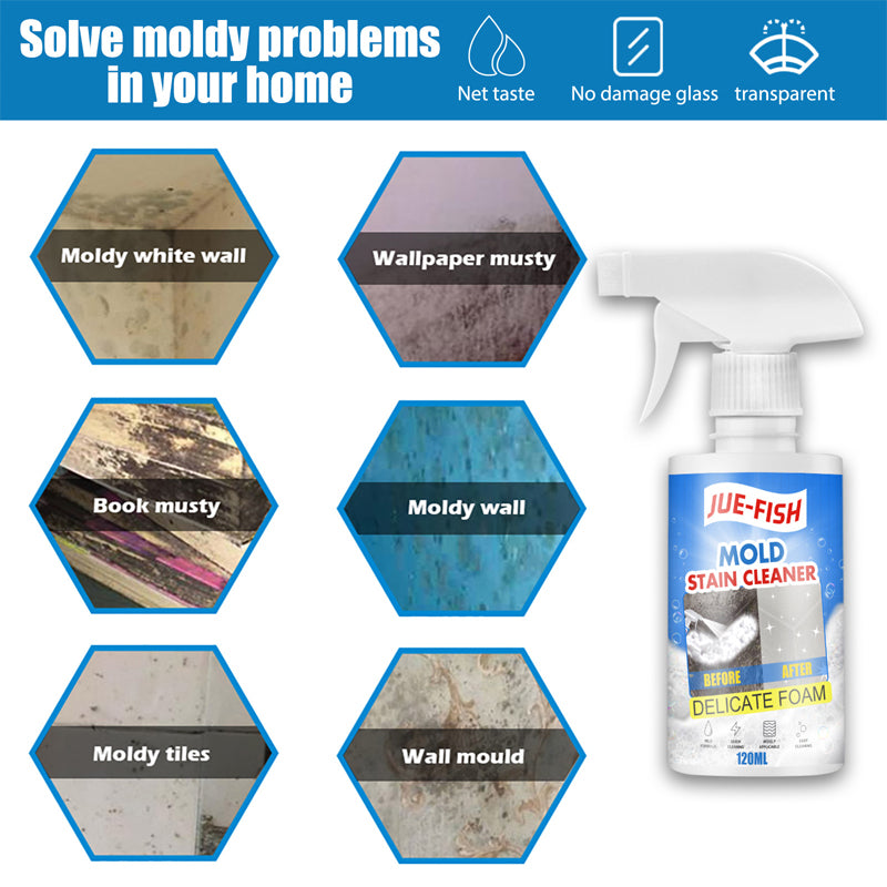 Mould & Mildew Remover Cleaning Spray