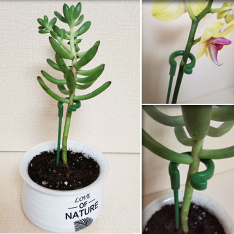 Single Plant Stem(10PCS)