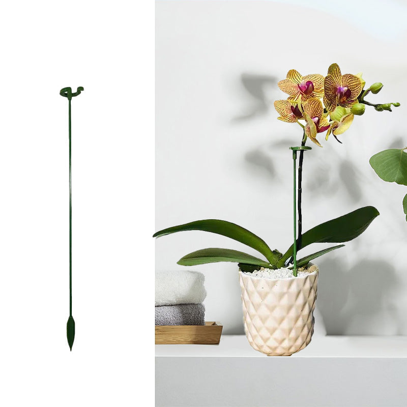 Single Plant Stem(10PCS)