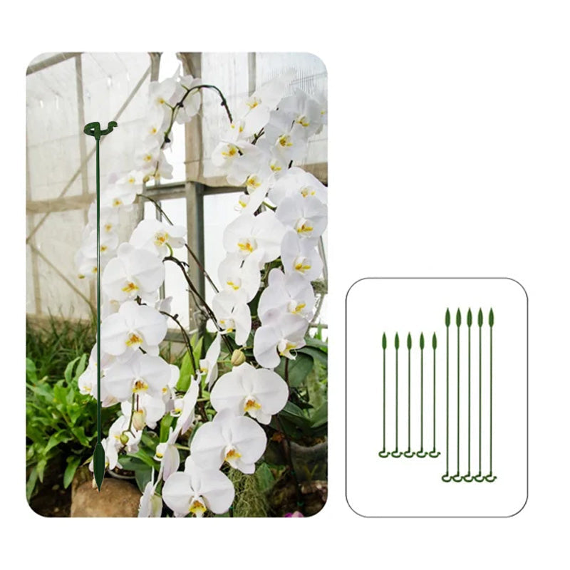 Single Plant Stem(10PCS)