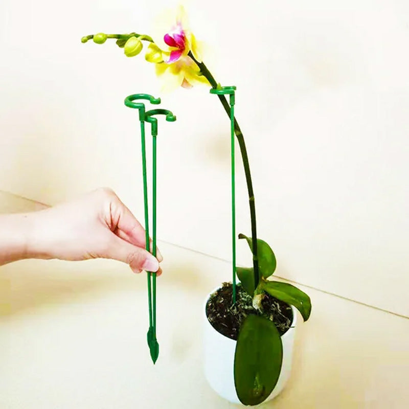 Single Plant Stem(10PCS)